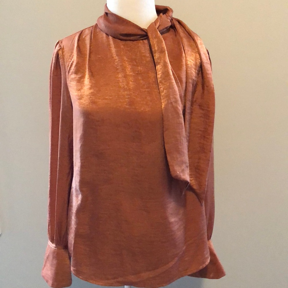 Banana Republic Copper Blouse!